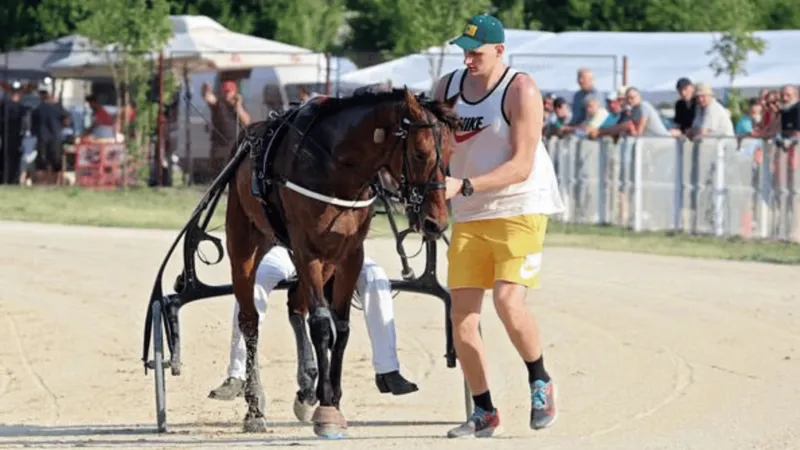 开云-Shames：约基奇将在赛季结束后从NBA退役，转战马术赛场备战28年奥运会